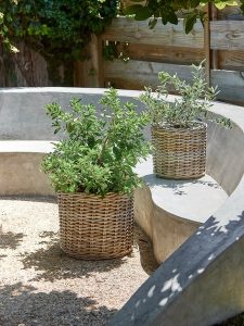 Panier pour plantes