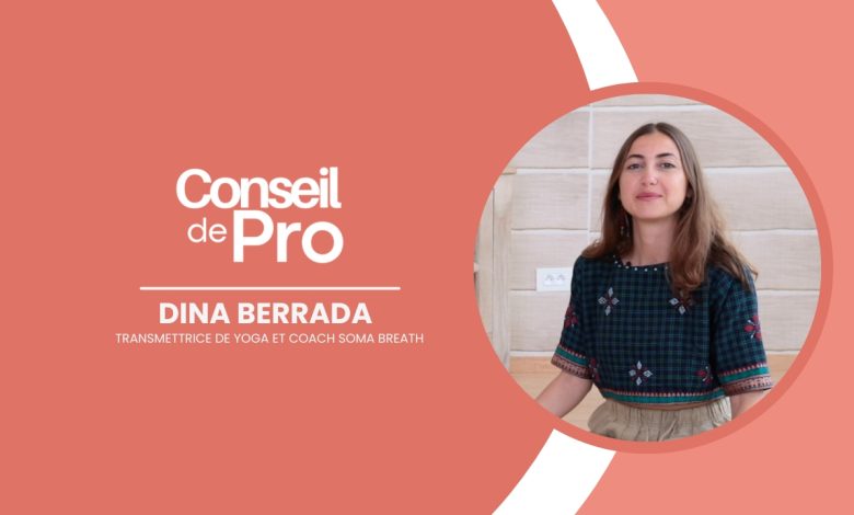 Conseil de Pro - Dina Berrada