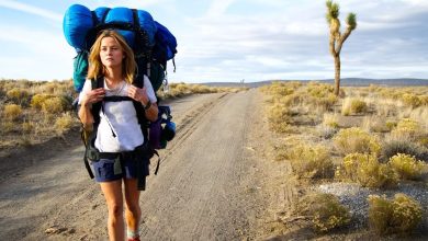 Horoscope par Plurielle