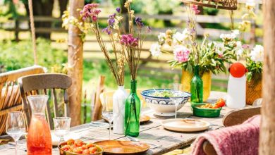 Recettes salades du soleil