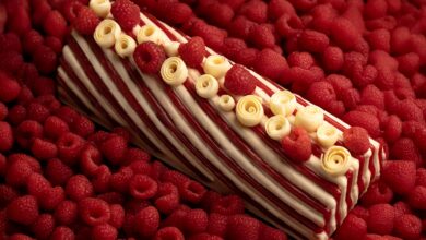 bûches Robuchon à la framboise de la collection sucre d'orges 2025